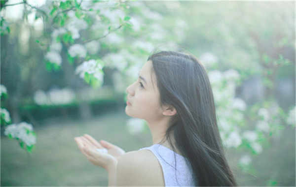 武城验血查男女几周可以验(验血查男女结果图)